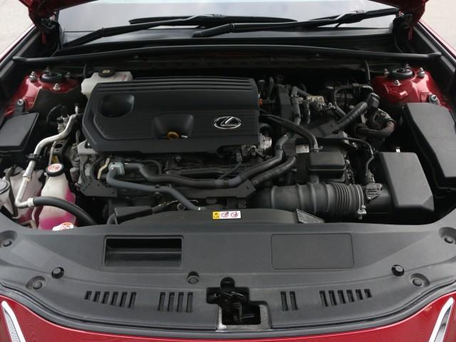 23986583_carP_l_17.jpg
