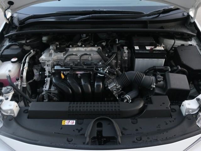 25184821_carP_l_17.jpg