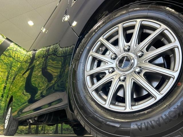 24521677_carP_l_7.jpg