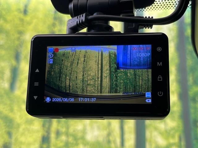25673336_carP_l_14.jpg