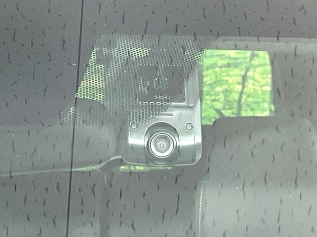 26403192_carP_l_10.jpg