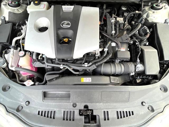 25527732_carP_l_20.jpg