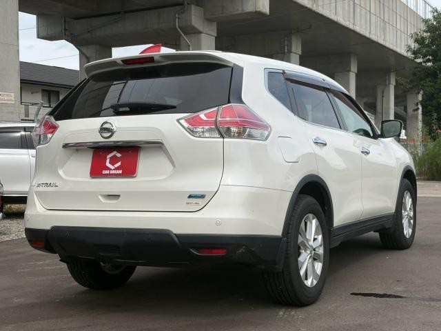 26125815_carP_l_15.jpg