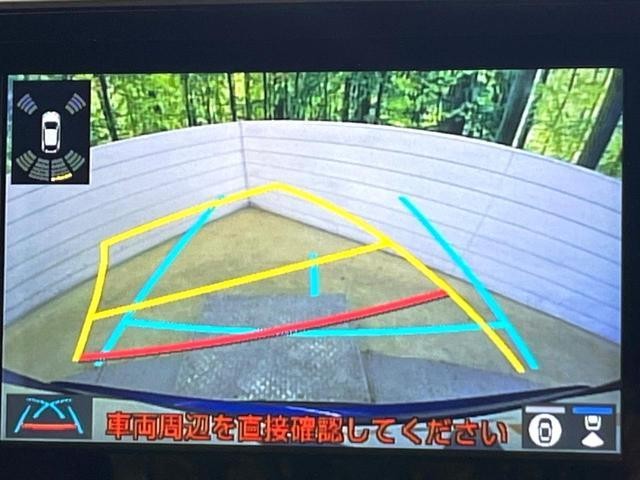 25199466_carP_l_4.jpg