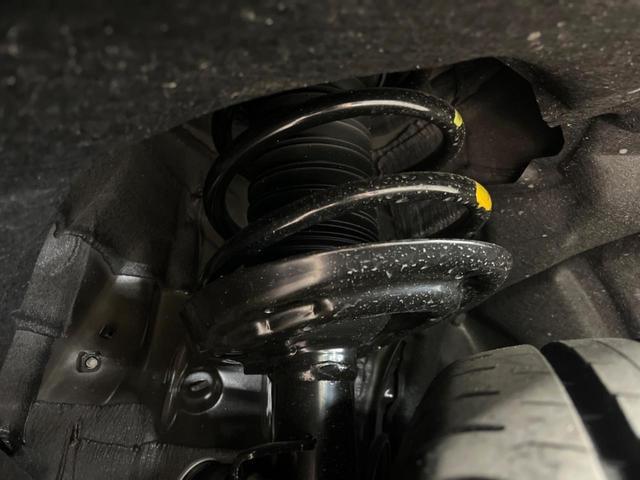 24746814_carP_l_20.jpg