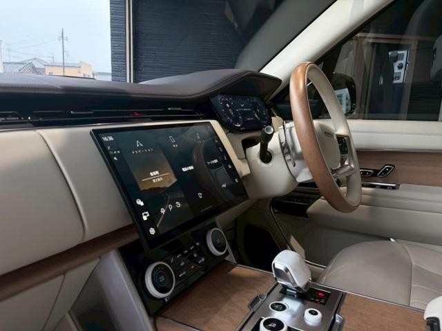 25463965_carP_l_16.jpg