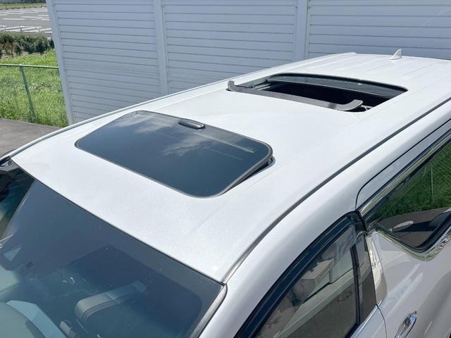 25754962_carP_l_15.jpg