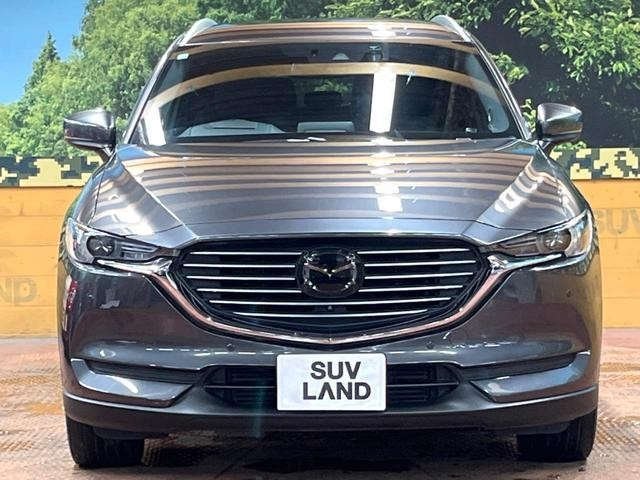 26188878_carP_l_9.jpg