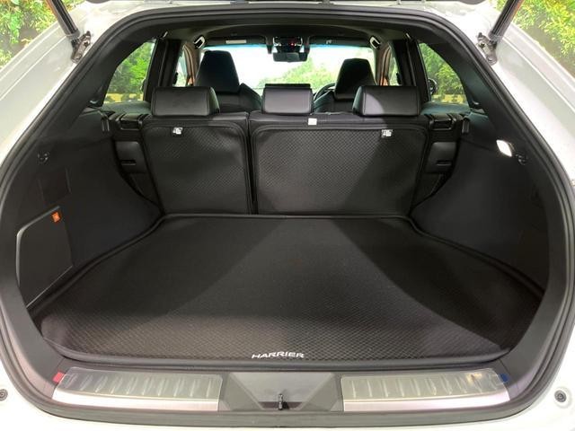 25591364_carP_l_6.jpg