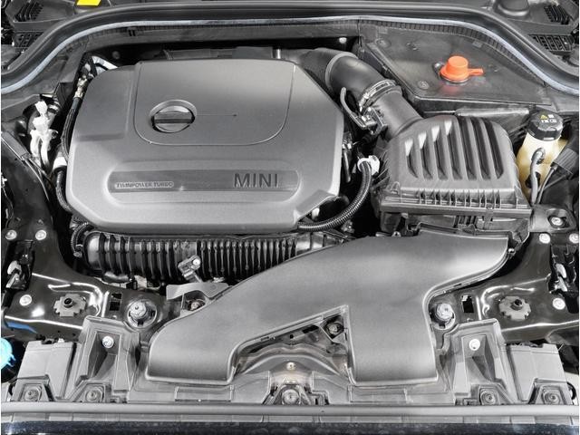 26490306_carP_l_14.jpg