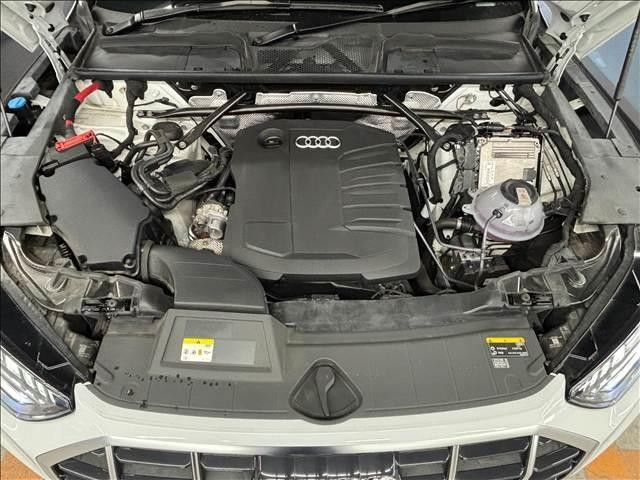 24254234_carP_l_6.jpg
