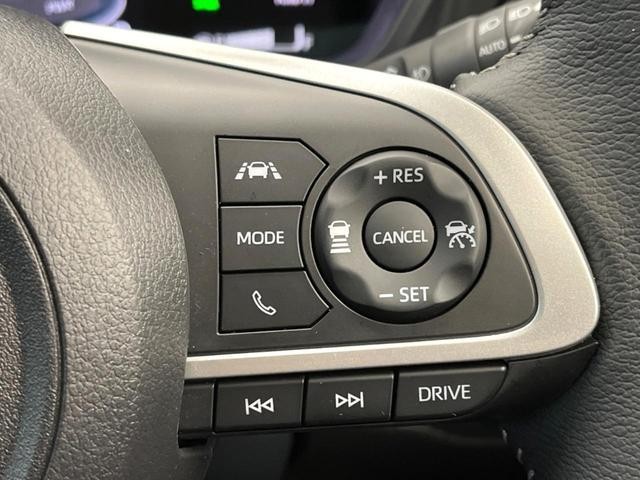 24050984_carP_l_14.jpg