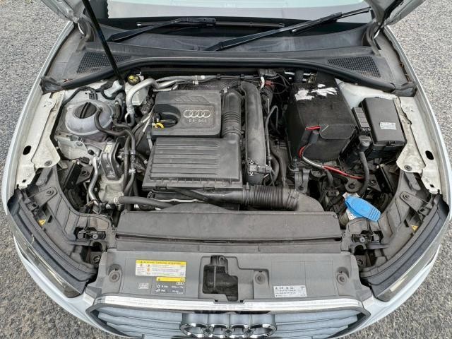 24897375_carP_l_17.jpg