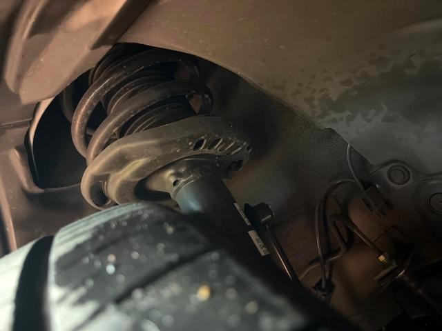 26209569_carP_l_20.jpg