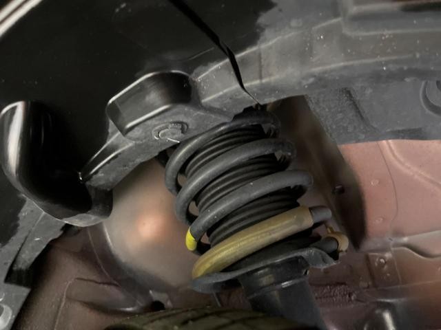 26084836_carP_l_20.jpg