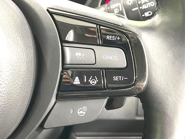 24953570_carP_l_13.jpg