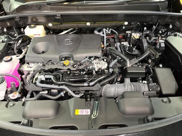 25404572_carP_l_16.jpg