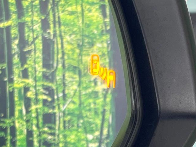 24239531_carP_l_10.jpg