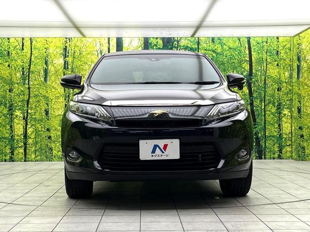 23715547_carP_l_6.jpg