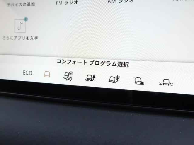 24521230_carP_l_9.jpg