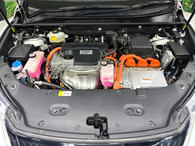 25445882_carP_l_18.jpg