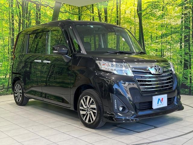 26043771_carP_l_11.jpg