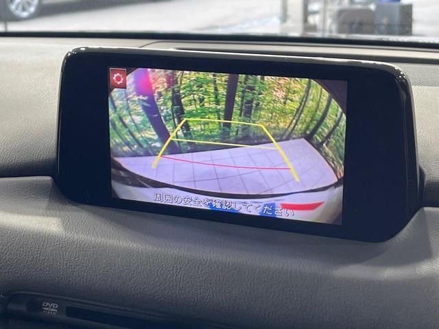 25241791_carP_l_10.jpg