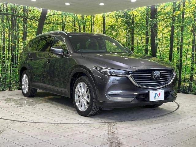 25241791_carP_l_12.jpg