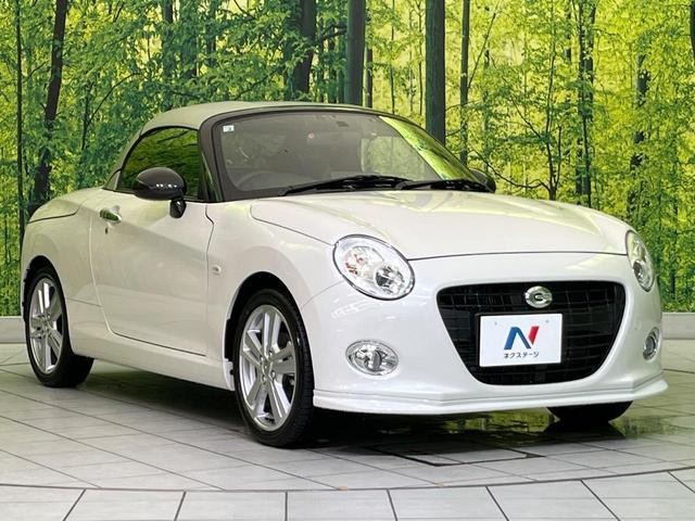 26357112_carP_l_9.jpg