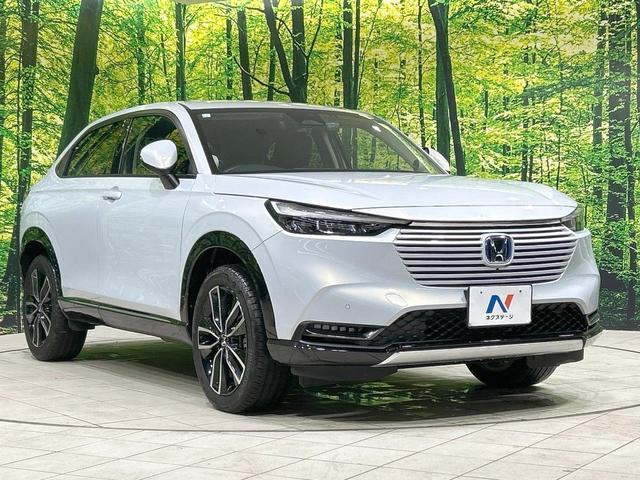 23635717_carP_l_11.jpg