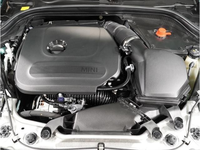 25668728_carP_l_14.jpg