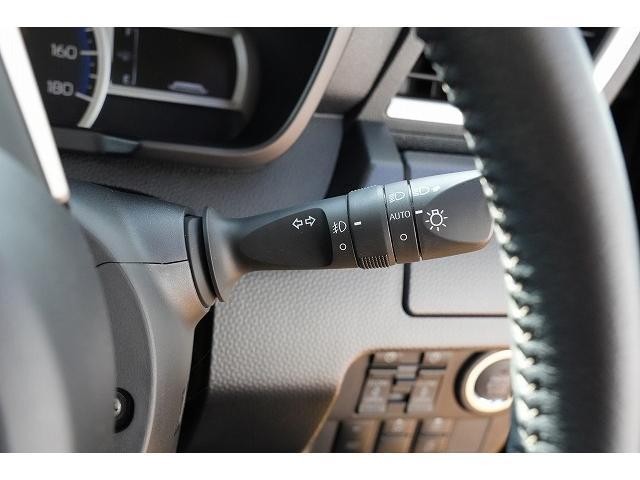 25466085_carP_l_7.jpg