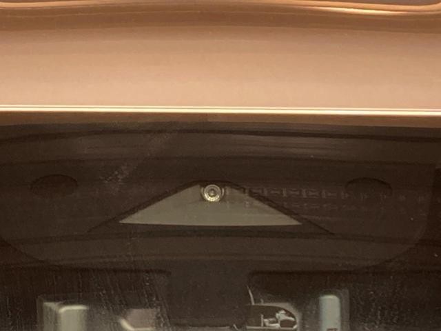 25571446_carP_l_10.jpg
