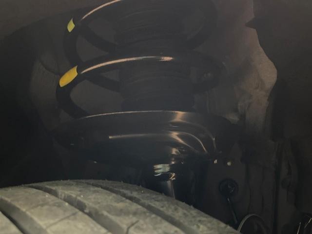 25241115_carP_l_20.jpg