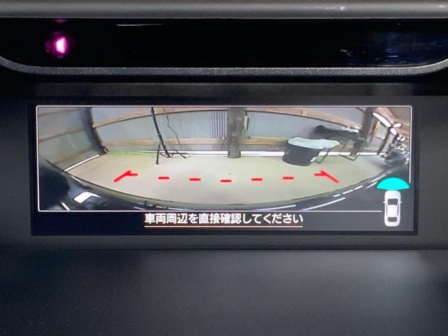 24887024_carP_l_20.jpg