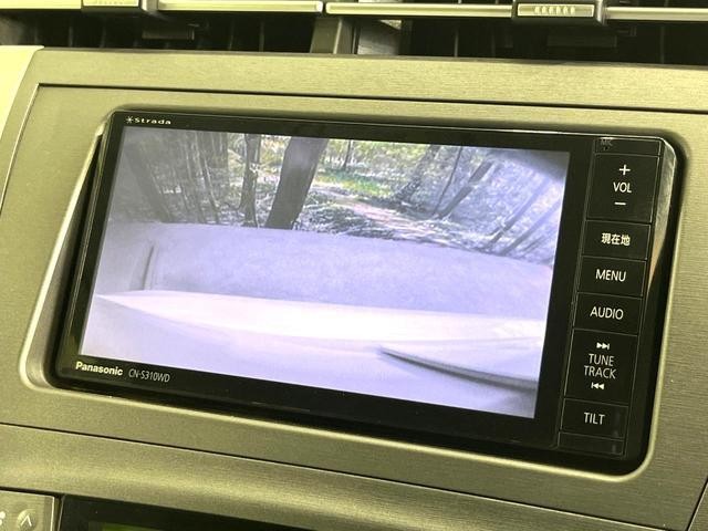 24664657_carP_l_4.jpg