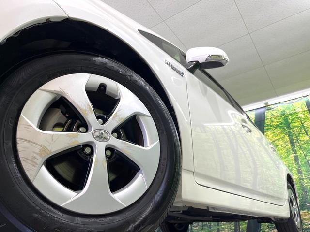 24664657_carP_l_7.jpg