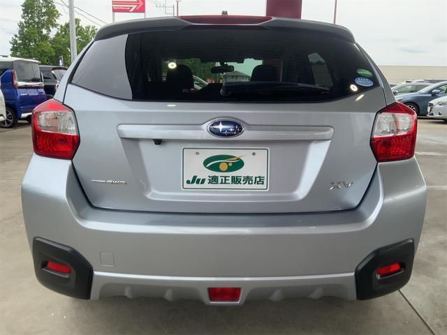 24259353_carP_l_15.jpg