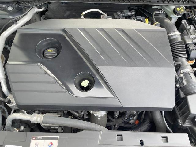 24746845_carP_l_18.jpg
