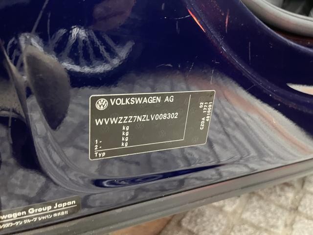25461964_carP_l_19.jpg