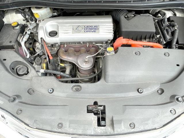 26189056_carP_l_16.jpg