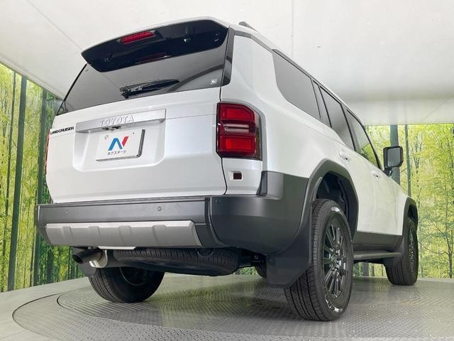 24685858_carP_l_16.jpg