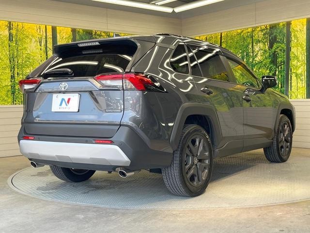 24562026_carP_l_12.jpg