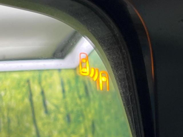24090024_carP_l_13.jpg