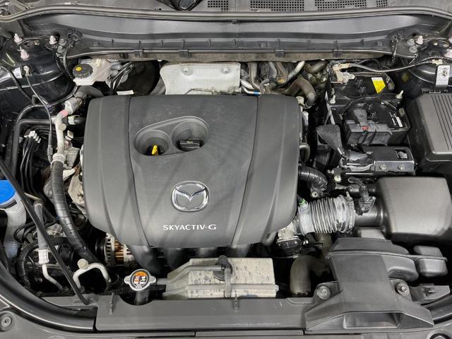24320375_carP_l_16.jpg