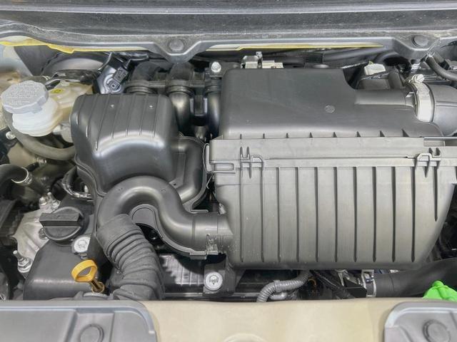 24521680_carP_l_16.jpg