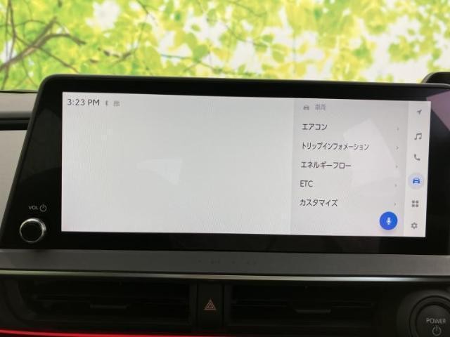24768408_carP_l_19.jpg