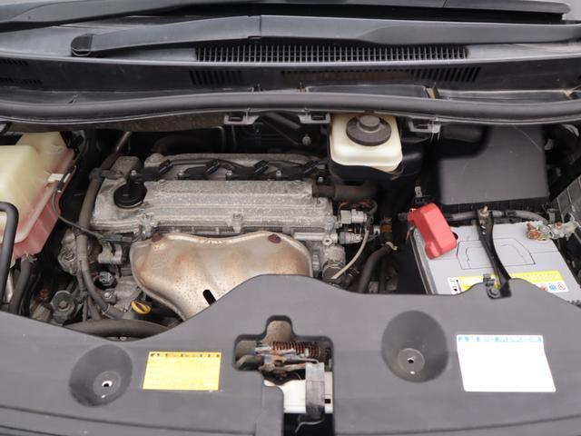 23334759_carP_l_8.jpg