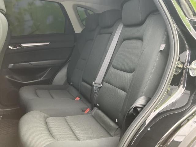 24773499_carP_l_14.jpg