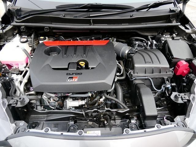 25173523_carP_l_16.jpg